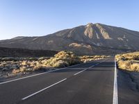 Road in the Rural Landscape of Tenerife, Spain