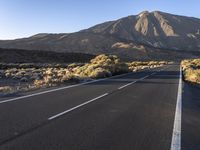 Road in the Rural Landscape of Tenerife, Spain