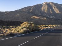 Road in the Rural Landscape of Tenerife, Spain