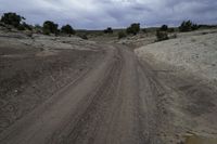 a dirt road through a barren field under cloudy skies with dark clouds in the sky