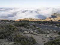 Road through the Spanish highlands in Tenerife, Europe