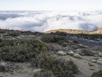 Road through the Spanish highlands in Tenerife, Europe