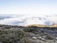 Road through the Spanish highlands in Tenerife, Europe