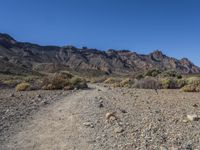 Straight Down the Road in Tenerife, Canary Islands