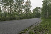 Road Through Colorado Forest Mountain 001