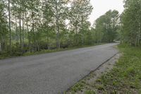 Road through Colorado Forest Mountain