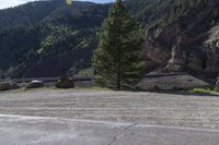 Road Through Highland Forest in Colorado