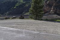 Road Through Highland Forest in Colorado