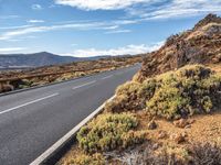 the road leads through the desert to the mountains of the desert, with shrubs and vegetation surrounding it