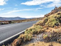 the road leads through the desert to the mountains of the desert, with shrubs and vegetation surrounding it