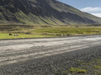 Road through Highland Prairie in Iceland