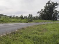 Road through Lush California Landscape