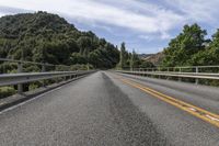 Road through Lush Forest in New Zealand