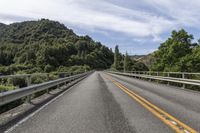 Road through Lush Forest in New Zealand