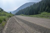 a dirt road through a dense forest in the mountains of colorados in a summer day