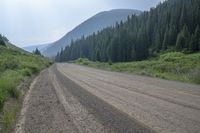 a dirt road through a dense forest in the mountains of colorados in a summer day