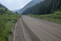 a dirt road through a dense forest in the mountains of colorados in a summer day