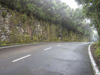 Road Through Spanish Landscape with Fog and Forest in Tenerife