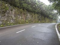 Road Through Spanish Landscape with Fog and Forest in Tenerife