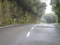 Road Through Spanish Landscape with Fog and Forest in Tenerife