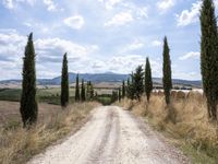 Straight Down the Road Through Tuscany, Italy