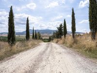 Straight Down the Road Through Tuscany, Italy