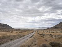 a road runs through the desert, in the distance are tall mountains, a grassy field, and dry grass