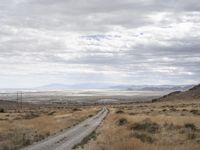 a road runs through the desert, in the distance are tall mountains, a grassy field, and dry grass