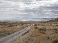 a road runs through the desert, in the distance are tall mountains, a grassy field, and dry grass