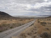 a road runs through the desert, in the distance are tall mountains, a grassy field, and dry grass