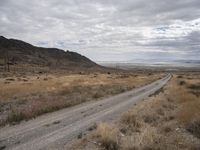 a road runs through the desert, in the distance are tall mountains, a grassy field, and dry grass