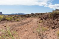 a small dirt path winds through the desert near a mountain peak in arizona's southwest