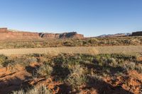 Road Through Utah Wilderness: Mountain Landforms and Vegetation