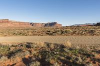 Road Through Utah Wilderness: Mountain Landforms and Vegetation