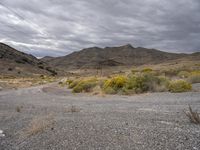 Road Through Utah's Desert Mountain Landscape 001