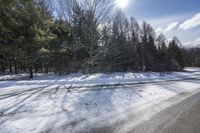 a snow covered road in front of some trees in the snow with sun shining on top of it