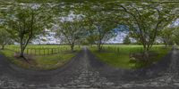 a 3d image of a road through a tree filled pasture area that is fenced in