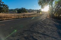 a view of the road with trees on either side and the sun peeking through a tree