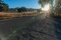 a view of the road with trees on either side and the sun peeking through a tree