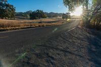 a view of the road with trees on either side and the sun peeking through a tree