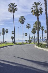 Road Trip in Los Angeles: Exploring a Residential Area