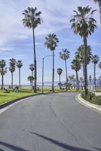 Road Trip in Los Angeles: Exploring a Residential Area