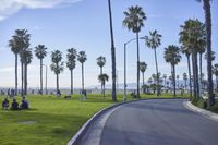 Road Trip in Los Angeles: Exploring a Residential Area