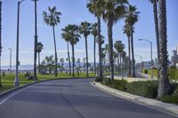 Road Trip in Los Angeles: Exploring a Residential Area