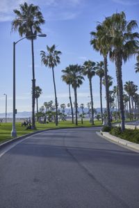 Road Trip in Los Angeles: Exploring a Residential Area