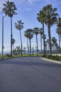 Road Trip in Los Angeles: Exploring a Residential Area