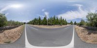 a wide angle view of a street with trees and shrubs surrounding it from a fish eye lens