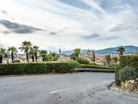 Road in Tuscany, Italy