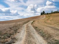 a dirt road with grass on either side of it leads up to a grassy hill in the distance