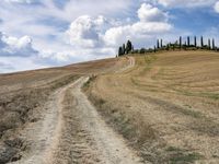 a dirt road with grass on either side of it leads up to a grassy hill in the distance